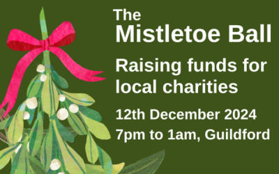 Join us for an unforgettable night at the Mistletoe Ball!