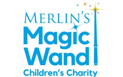 Merlin’s Magic Wand!