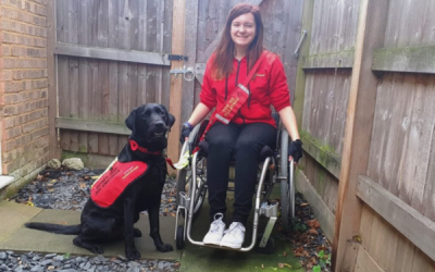 Wetherspoons bars thousands of Assistance Dogs from pubs