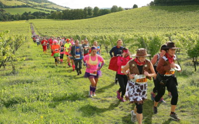 Run the Bacchus Half Marathon & 10k