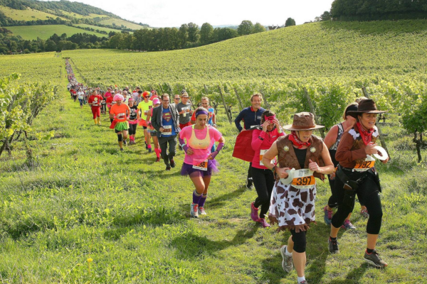 A long train of runners all in fancy dress running through the vineyards at Denbies Wine Estate.