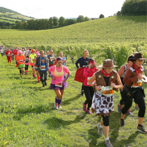 A long train of runners in fancy dress are running through the vineyards of the Denbies Wine Estate.