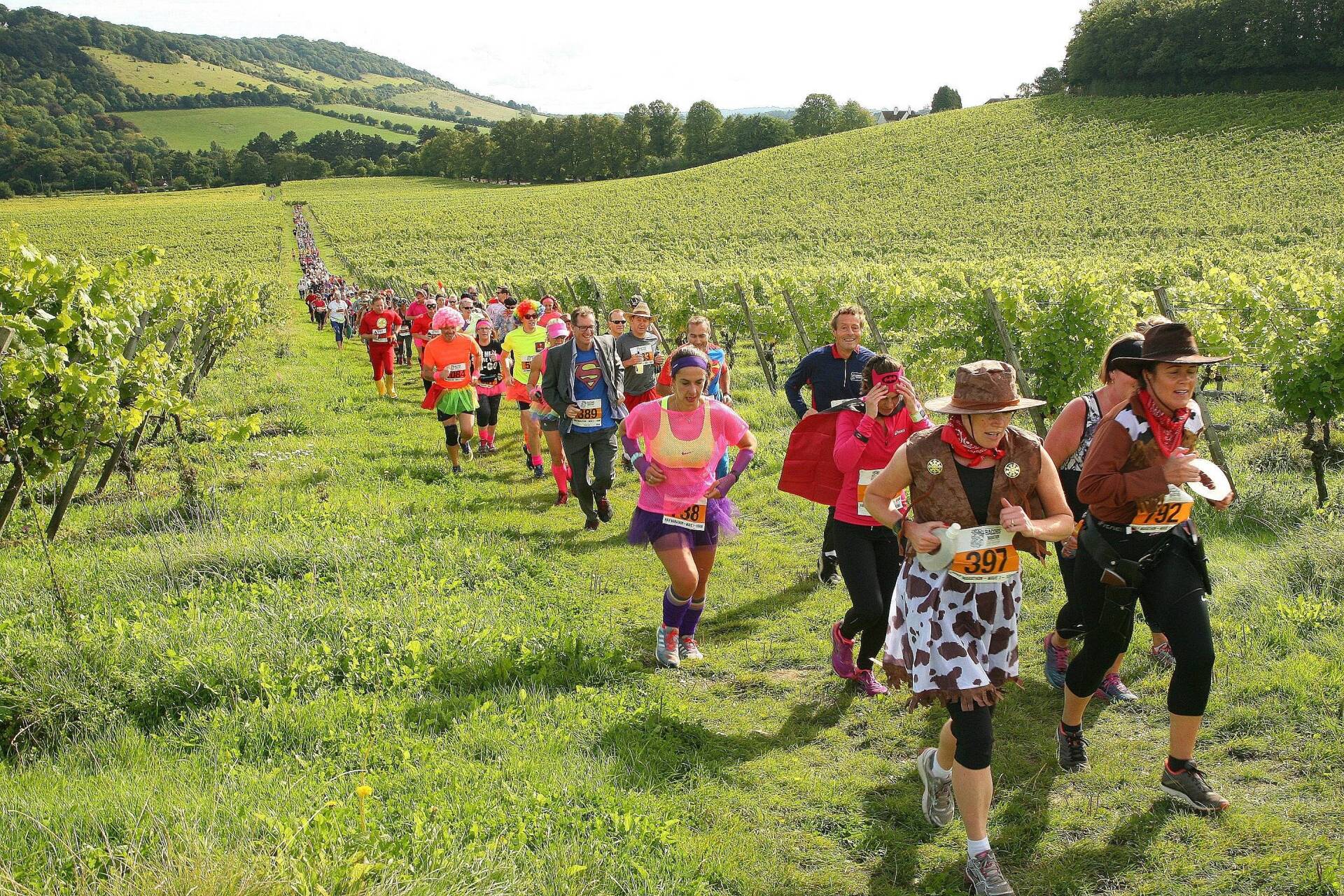 A long line of runners in fancy dress at the Bacchus Half Marathon.